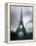 Eiffel Tower, Paris, Ile-De-France, France-Mark Newman-Framed Premier Image Canvas