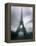 Eiffel Tower, Paris, Ile-De-France, France-Mark Newman-Framed Premier Image Canvas