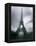 Eiffel Tower, Paris, Ile-De-France, France-Mark Newman-Framed Premier Image Canvas