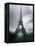 Eiffel Tower, Paris, Ile-De-France, France-Mark Newman-Framed Premier Image Canvas