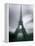 Eiffel Tower, Paris, Ile-De-France, France-Mark Newman-Framed Premier Image Canvas