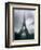 Eiffel Tower, Paris, Ile-De-France, France-Mark Newman-Framed Photographic Print