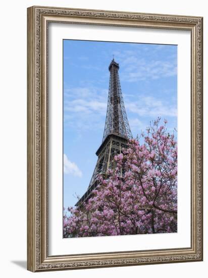 Eiffel Tower with Pink Magnolia Tree-Cora Niele-Framed Photographic Print