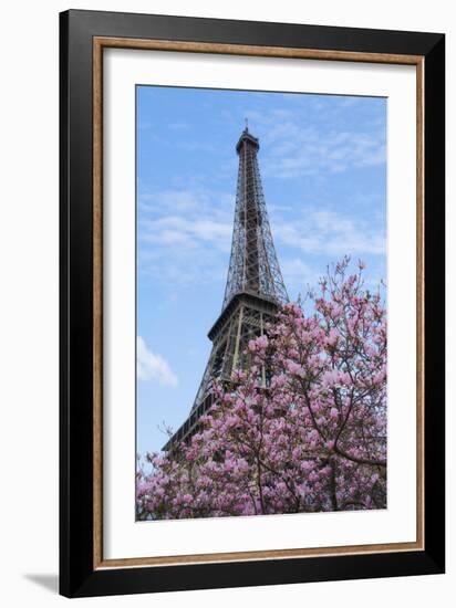 Eiffel Tower with Pink Magnolia Tree-Cora Niele-Framed Photographic Print