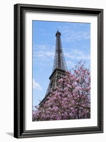 Eiffel Tower with Pink Magnolia Tree-Cora Niele-Framed Photographic Print