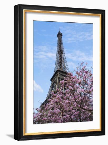 Eiffel Tower with Pink Magnolia Tree-Cora Niele-Framed Photographic Print