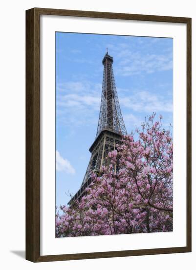 Eiffel Tower with Pink Magnolia Tree-Cora Niele-Framed Photographic Print