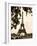 Eiffel Views I-Rachel Perry-Framed Photographic Print