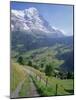 Eiger, Grindelwald, Berner Oberland, Switzerland-Jon Arnold-Mounted Photographic Print