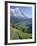 Eiger, Grindelwald, Berner Oberland, Switzerland-Jon Arnold-Framed Photographic Print