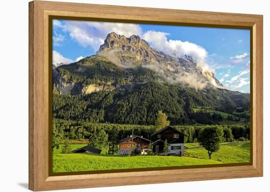 Eiger, Grindelwald, Bernese Oberland, Canton of Bern, Switzerland, Europe-Hans-Peter Merten-Framed Premier Image Canvas