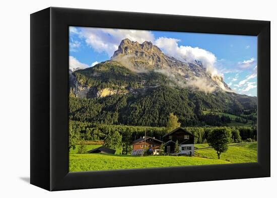 Eiger, Grindelwald, Bernese Oberland, Canton of Bern, Switzerland, Europe-Hans-Peter Merten-Framed Premier Image Canvas