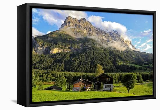 Eiger, Grindelwald, Bernese Oberland, Canton of Bern, Switzerland, Europe-Hans-Peter Merten-Framed Premier Image Canvas