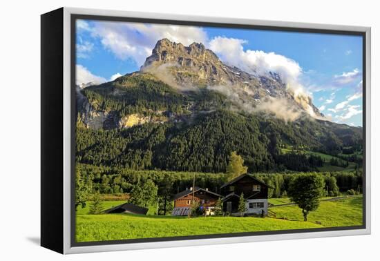 Eiger, Grindelwald, Bernese Oberland, Canton of Bern, Switzerland, Europe-Hans-Peter Merten-Framed Premier Image Canvas