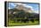 Eiger, Grindelwald, Bernese Oberland, Canton of Bern, Switzerland, Europe-Hans-Peter Merten-Framed Premier Image Canvas