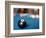 Eight ball on pool table-null-Framed Photographic Print