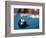 Eight ball on pool table-null-Framed Photographic Print