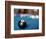 Eight ball on pool table-null-Framed Photographic Print