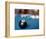 Eight ball on pool table-null-Framed Photographic Print