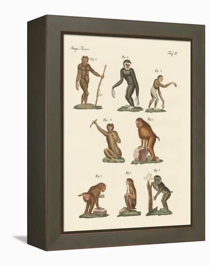 Eight Kinds of Monkeys-null-Framed Premier Image Canvas