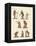 Eight Kinds of Monkeys-null-Framed Premier Image Canvas