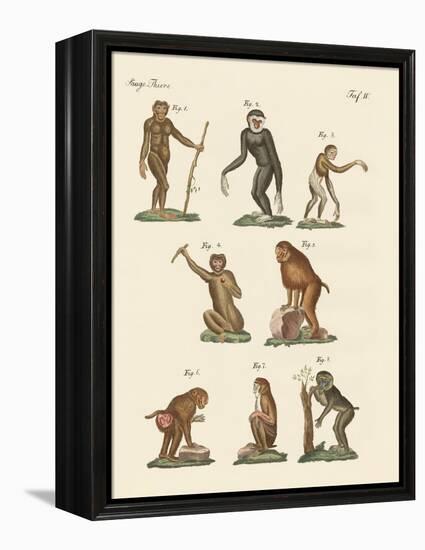 Eight Kinds of Monkeys-null-Framed Premier Image Canvas