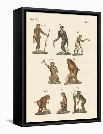 Eight Kinds of Monkeys-null-Framed Premier Image Canvas