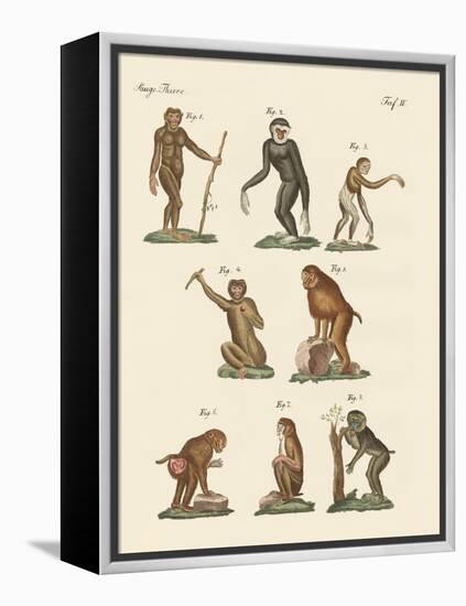 Eight Kinds of Monkeys-null-Framed Premier Image Canvas