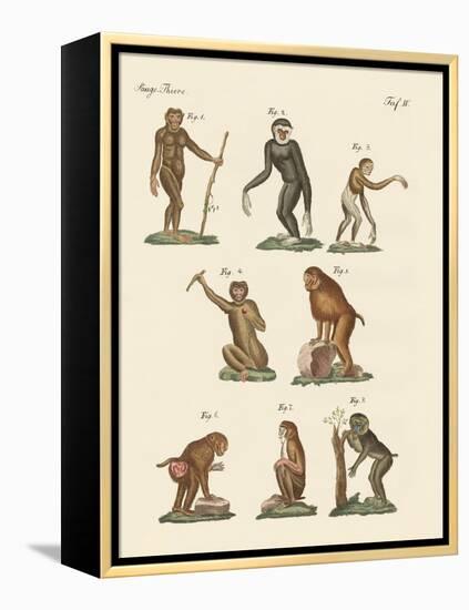 Eight Kinds of Monkeys-null-Framed Premier Image Canvas