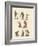 Eight Kinds of Monkeys-null-Framed Giclee Print