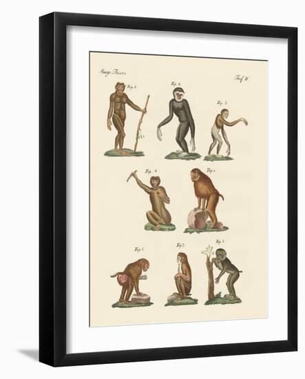 Eight Kinds of Monkeys-null-Framed Giclee Print
