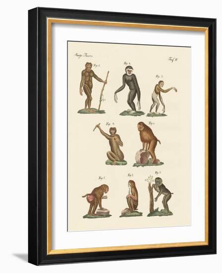 Eight Kinds of Monkeys-null-Framed Giclee Print