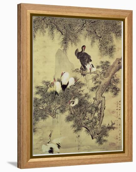 Eight Red-Crested Herons in a Pine Tree, 1754-Hua Yan-Framed Premier Image Canvas