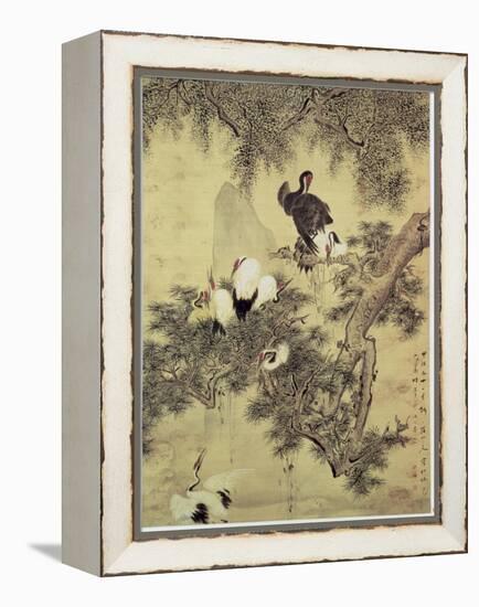 Eight Red-Crested Herons in a Pine Tree, 1754-Hua Yan-Framed Premier Image Canvas