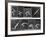 Eight Shots of a Man Jumping-null-Framed Photographic Print