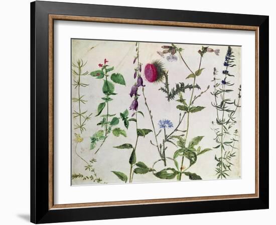 Eight Studies of Wild Flowers-Albrecht Dürer-Framed Giclee Print