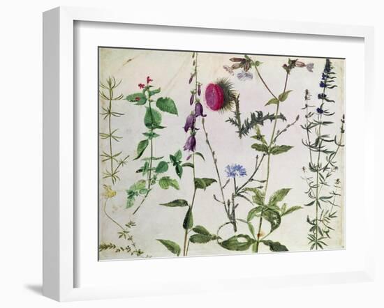 Eight Studies of Wild Flowers-Albrecht Dürer-Framed Giclee Print