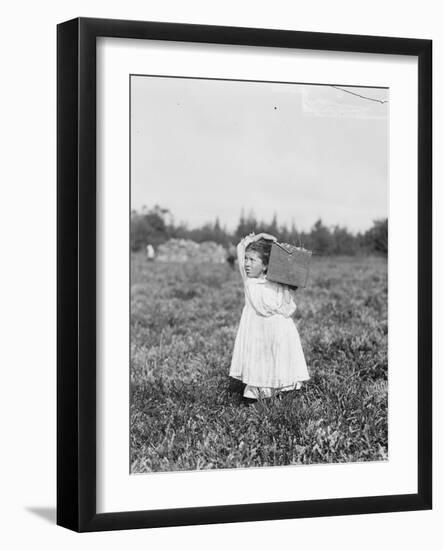 Eight Year Old Jennie Camillo from Philadelphia Picking Cranberries at Theodore Budd's Bog-Lewis Wickes Hine-Framed Photographic Print