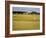 Eighteenth Green at the Old Course, St. Andrews, Fife, Scotland, United Kingdom, Europe-Mark Sunderland-Framed Photographic Print