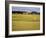 Eighteenth Green at the Old Course, St. Andrews, Fife, Scotland, United Kingdom, Europe-Mark Sunderland-Framed Photographic Print