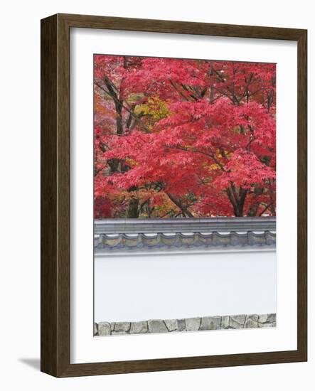 Eikando Temple, Kyoto, Japan-Rob Tilley-Framed Photographic Print