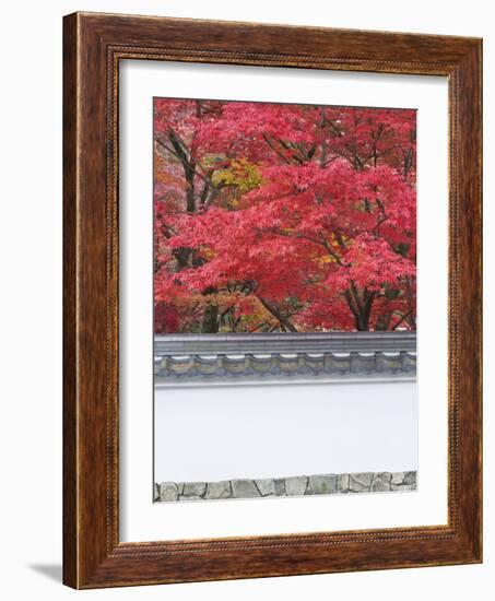 Eikando Temple, Kyoto, Japan-Rob Tilley-Framed Photographic Print