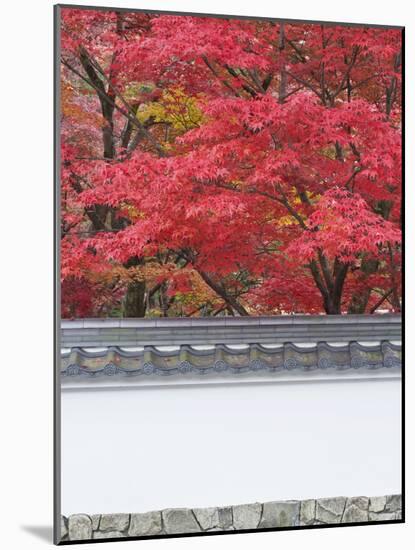 Eikando Temple, Kyoto, Japan-Rob Tilley-Mounted Photographic Print