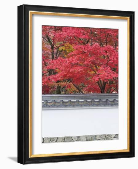 Eikando Temple, Kyoto, Japan-Rob Tilley-Framed Photographic Print