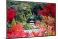 Premium Photographic Print