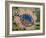 Eileen's Fish, 1964-Eileen Agar-Framed Giclee Print