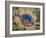 Eileen's Fish, 1964-Eileen Agar-Framed Giclee Print