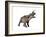 Einiosaurus Dinosaur, White Background-null-Framed Premium Giclee Print