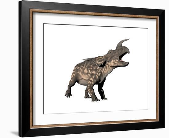 Einiosaurus Dinosaur, White Background-null-Framed Art Print