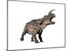 Einiosaurus Dinosaur, White Background-null-Mounted Art Print